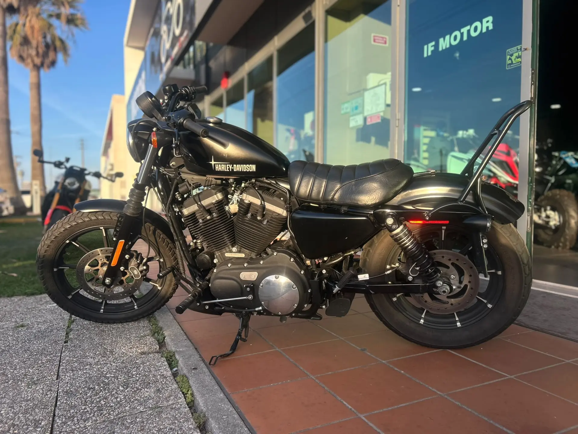 Harley-Davidson XL XL 883 N Iron 2