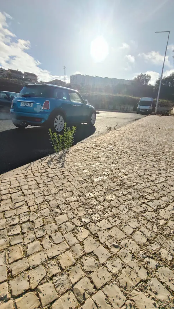 MINI 3 Portas Cooper S 17