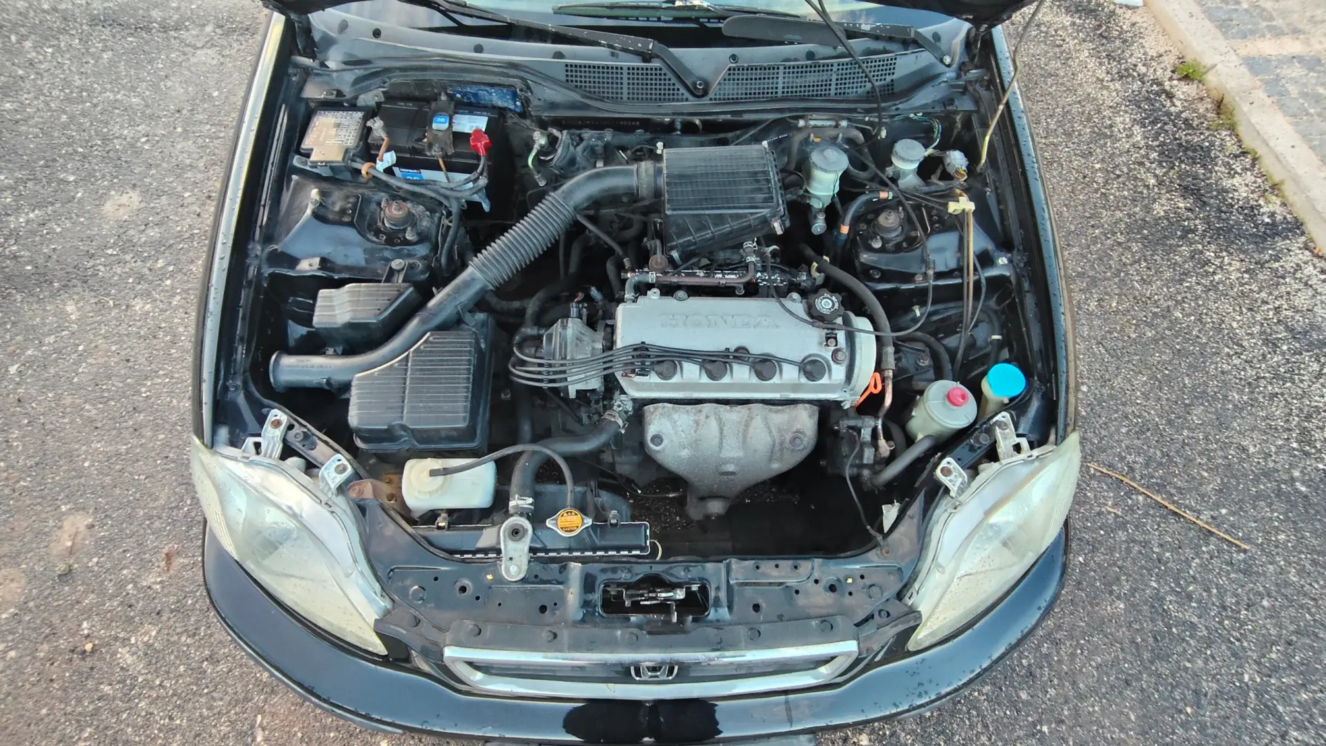 Honda Civic 17
