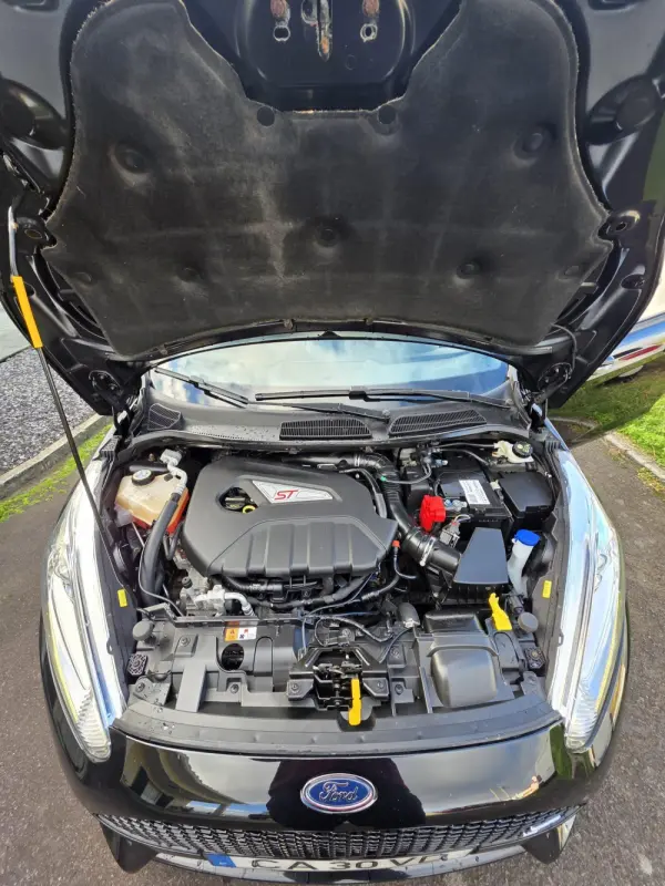 Ford Fiesta 1.6 T ST 15