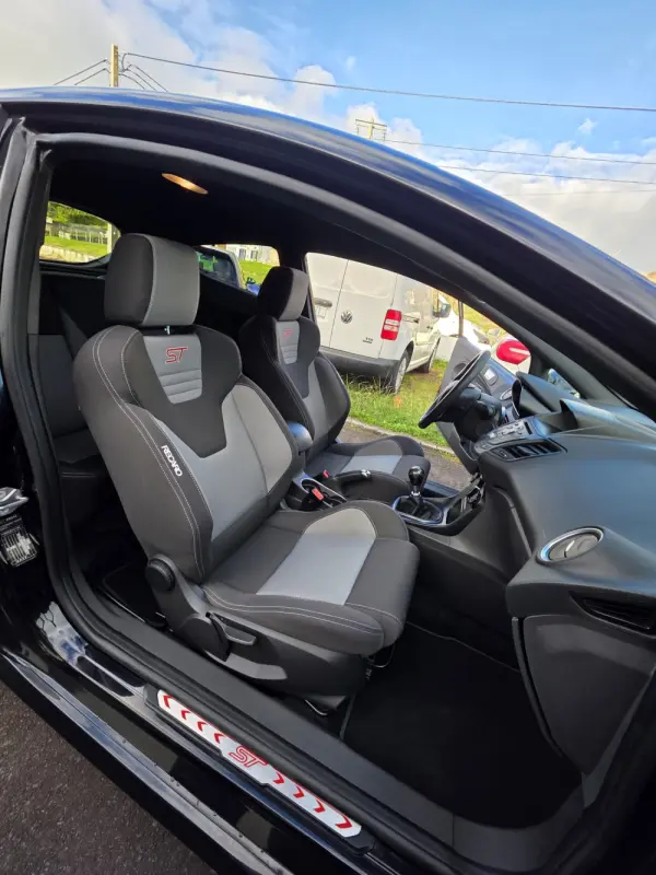 Ford Fiesta 1.6 T ST 13