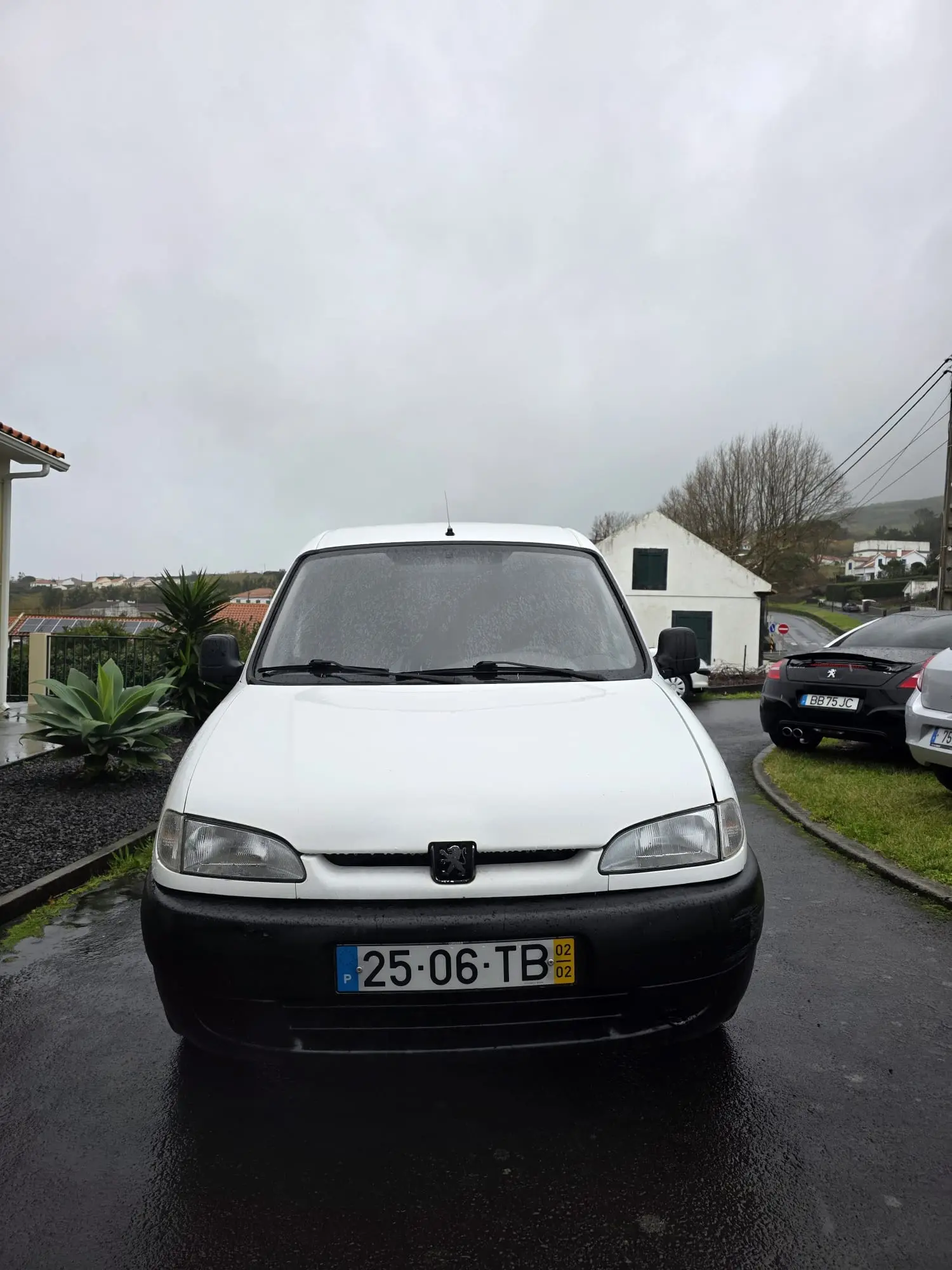 Peugeot Partner 1.9 D Break 2