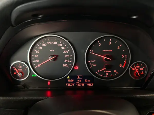 BMW 318 d Line Sport 19