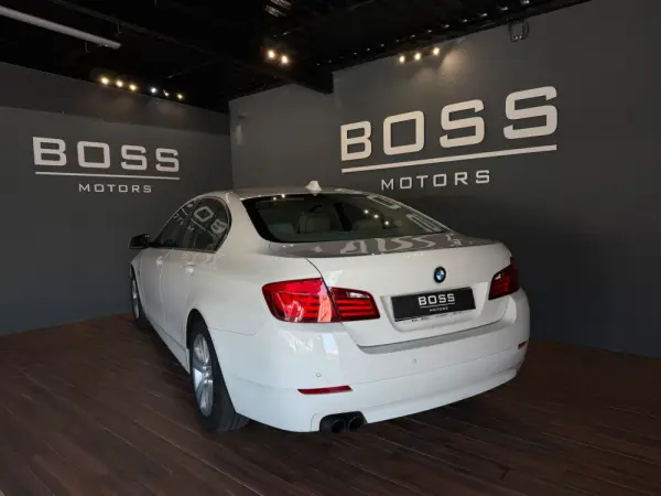 BMW 520 d Line Luxury Auto 8