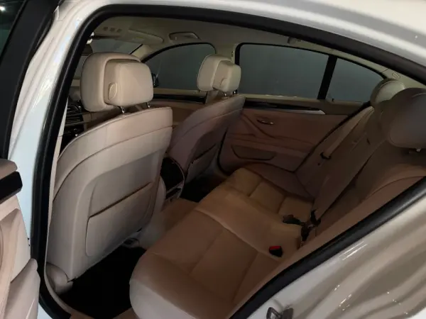 BMW 520 d Line Luxury Auto 14