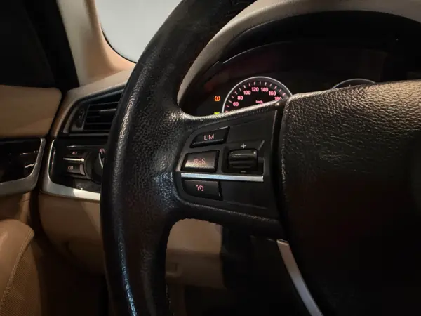 BMW 520 d Line Luxury Auto 20