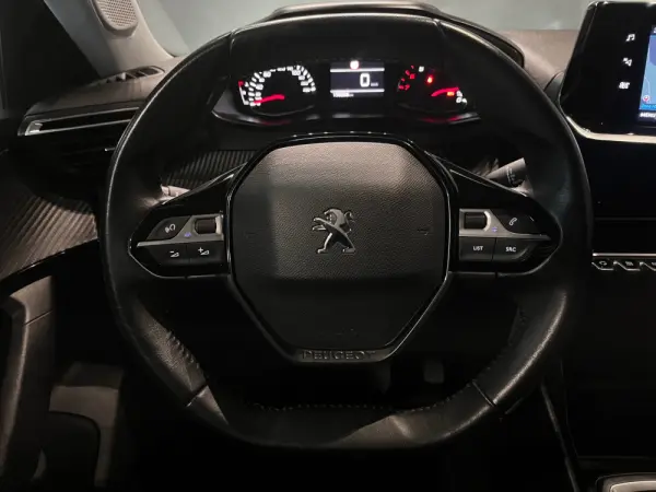 Peugeot 2008 1.5 BlueHDi Active Pack 14