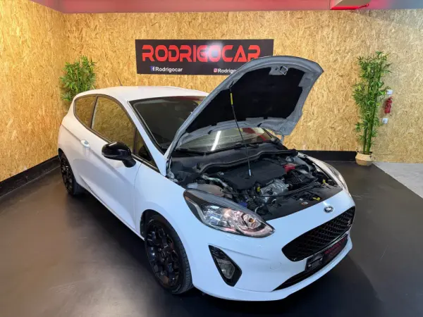 Ford Fiesta 1.5 TDCi ST-Line 19