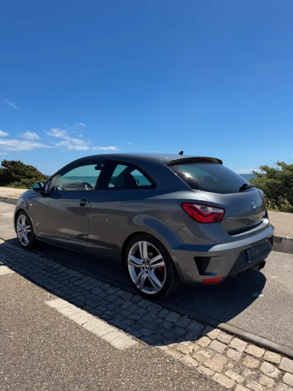 SEAT Ibiza 1.8 TSI Cupra 17