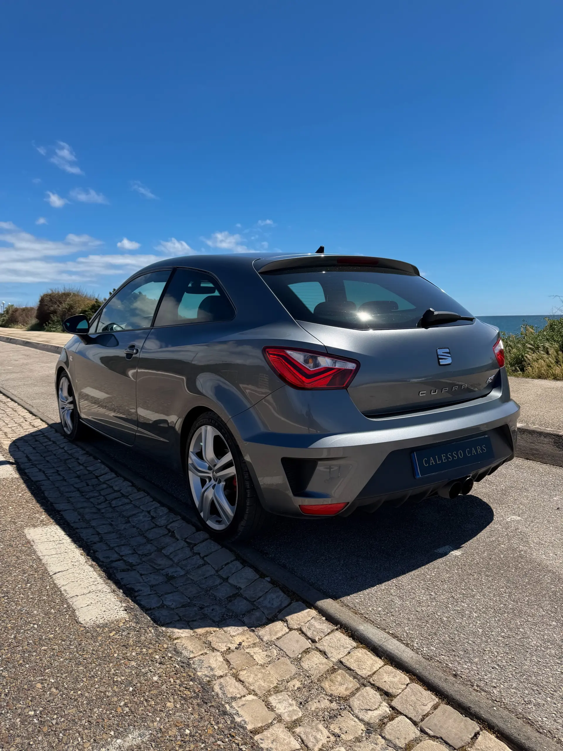 SEAT Ibiza 1.8 TSI Cupra 20