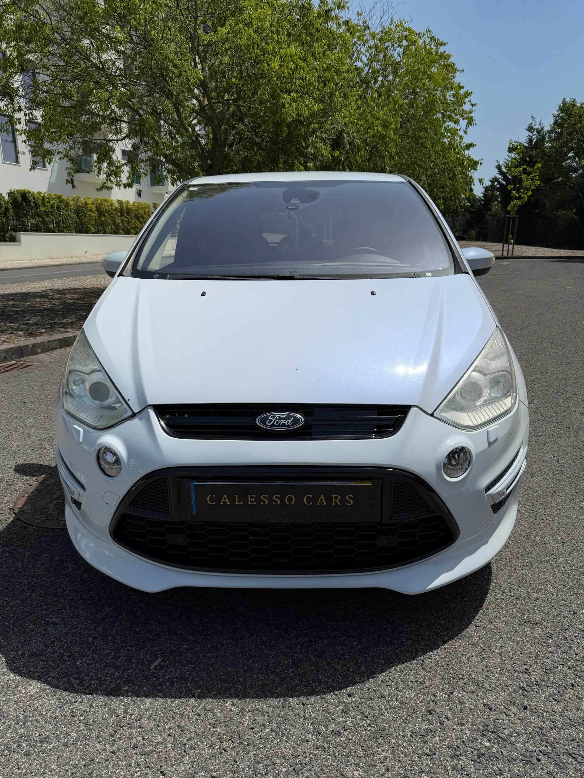 Ford S-Max 2.2 TDCi Titanium 7L 7