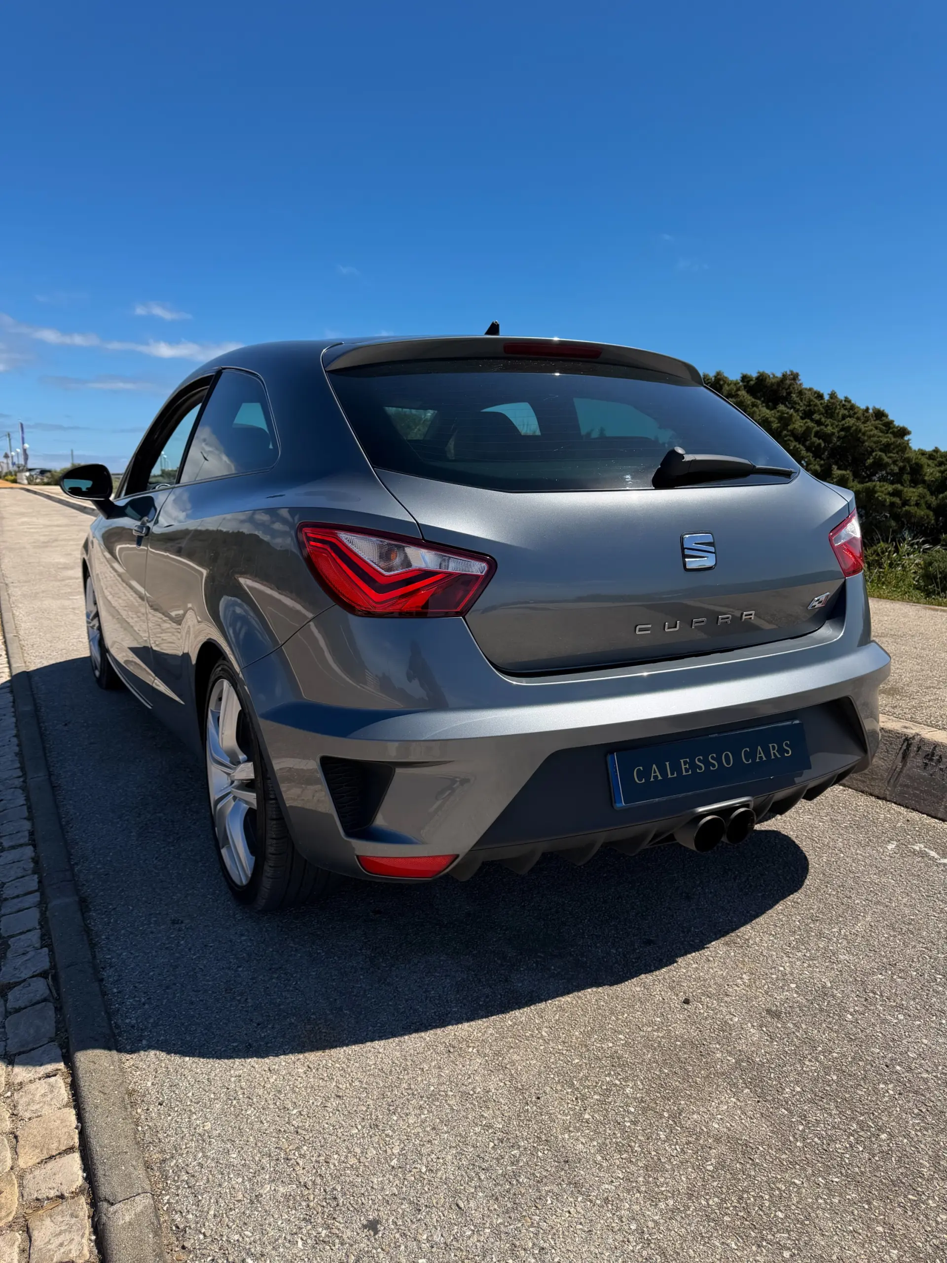 SEAT Ibiza 1.8 TSI Cupra 6