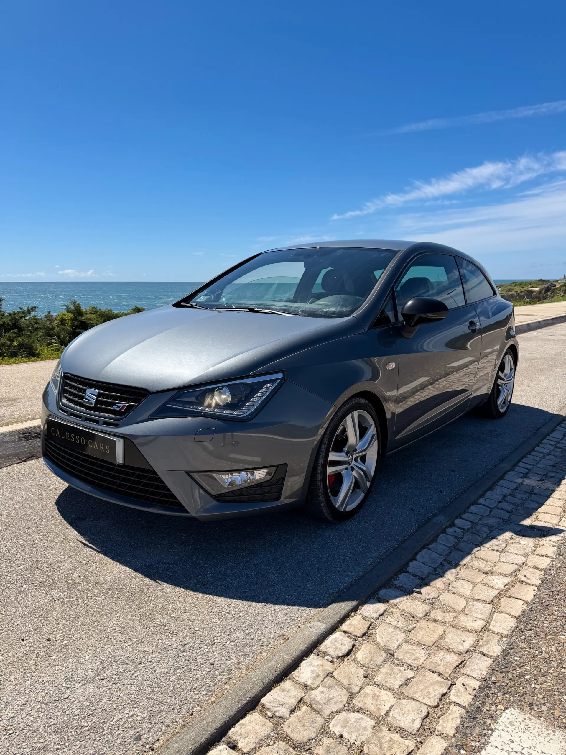 SEAT Ibiza 1.8 TSI Cupra 1