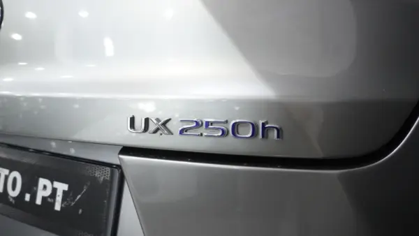 Lexus UX 250h Business 14