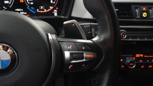 BMW X2 Auto 19
