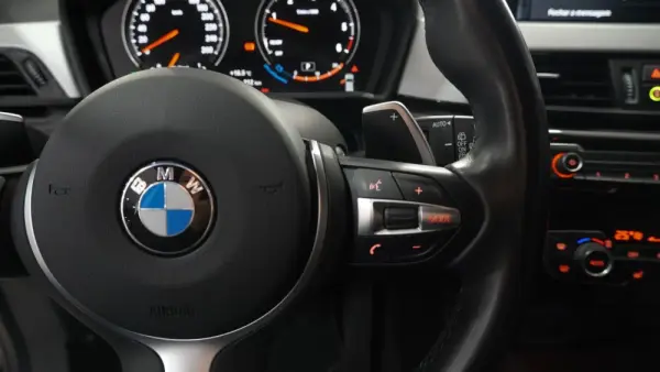 BMW X2 Auto 20