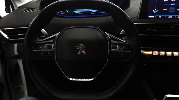 Peugeot 3008 Outro 11