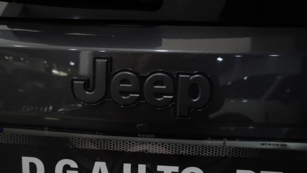 Jeep Renegade 1.0 T Limited 30