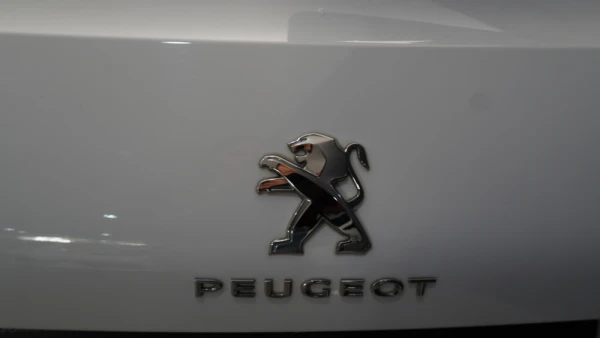 Peugeot 308 SW 1.2 ACTIVE BUSINESS 37