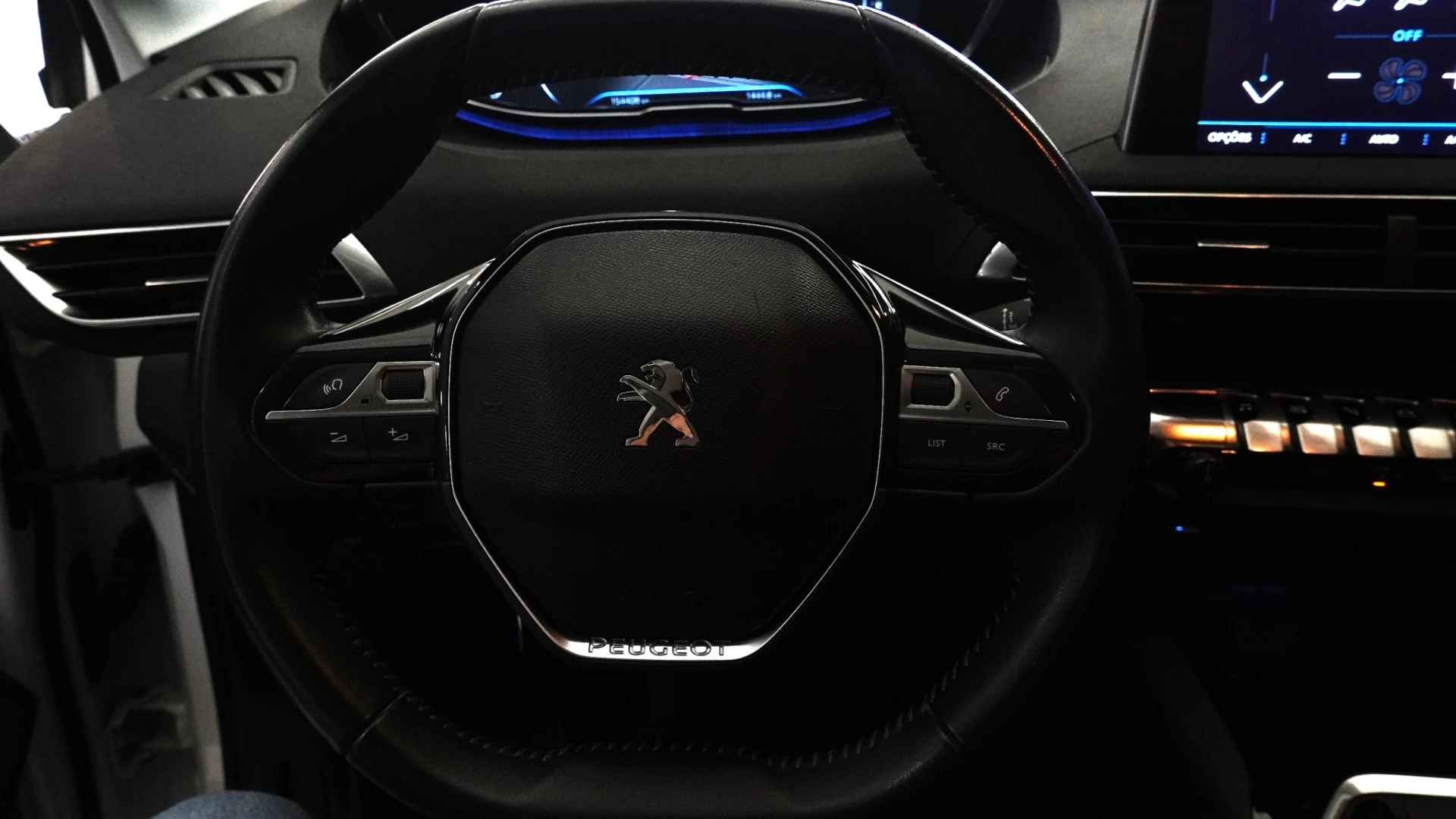 Peugeot 3008 Outro 11