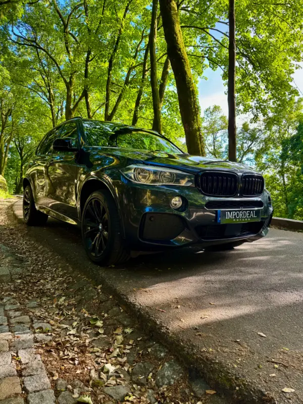 BMW X5 40e xDrive Pack M 8