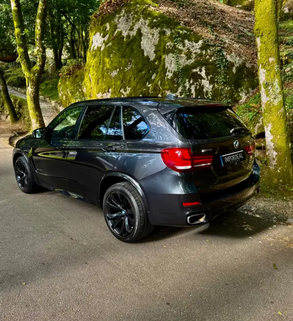 BMW X5 40e xDrive Pack M 13