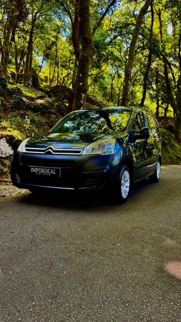 Citroen Berlingo 1.6 BlueHDi Feel 30