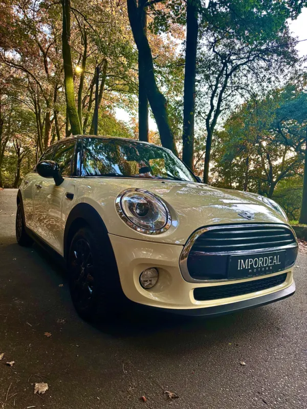 MINI Coupé Cooper Chilli 9