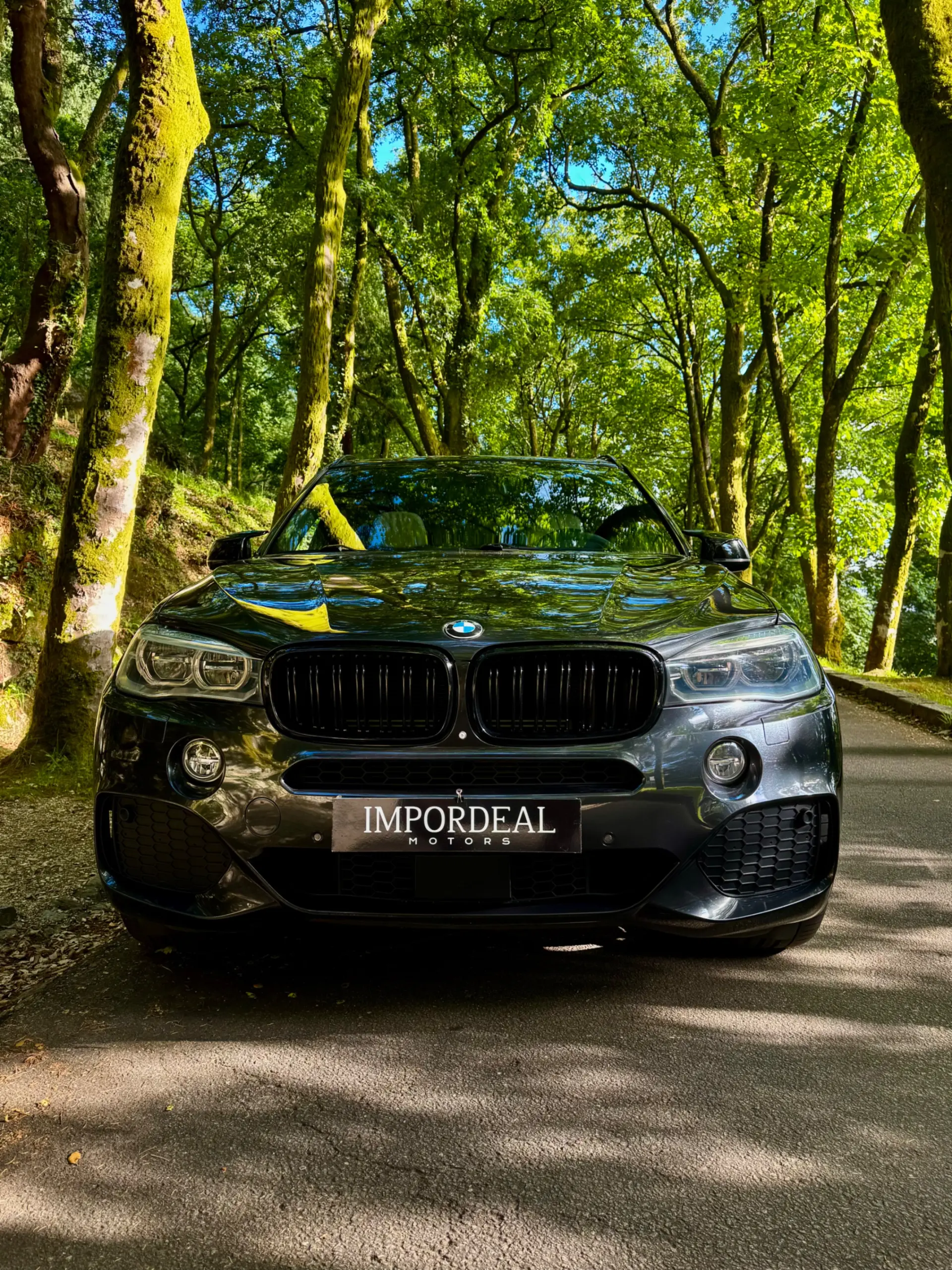 BMW X5 40e xDrive Pack M 7
