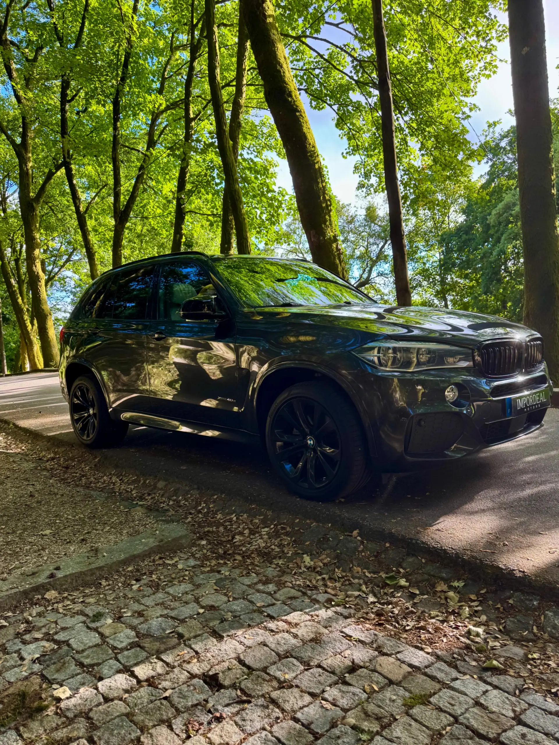 BMW X5 40e xDrive Pack M 9