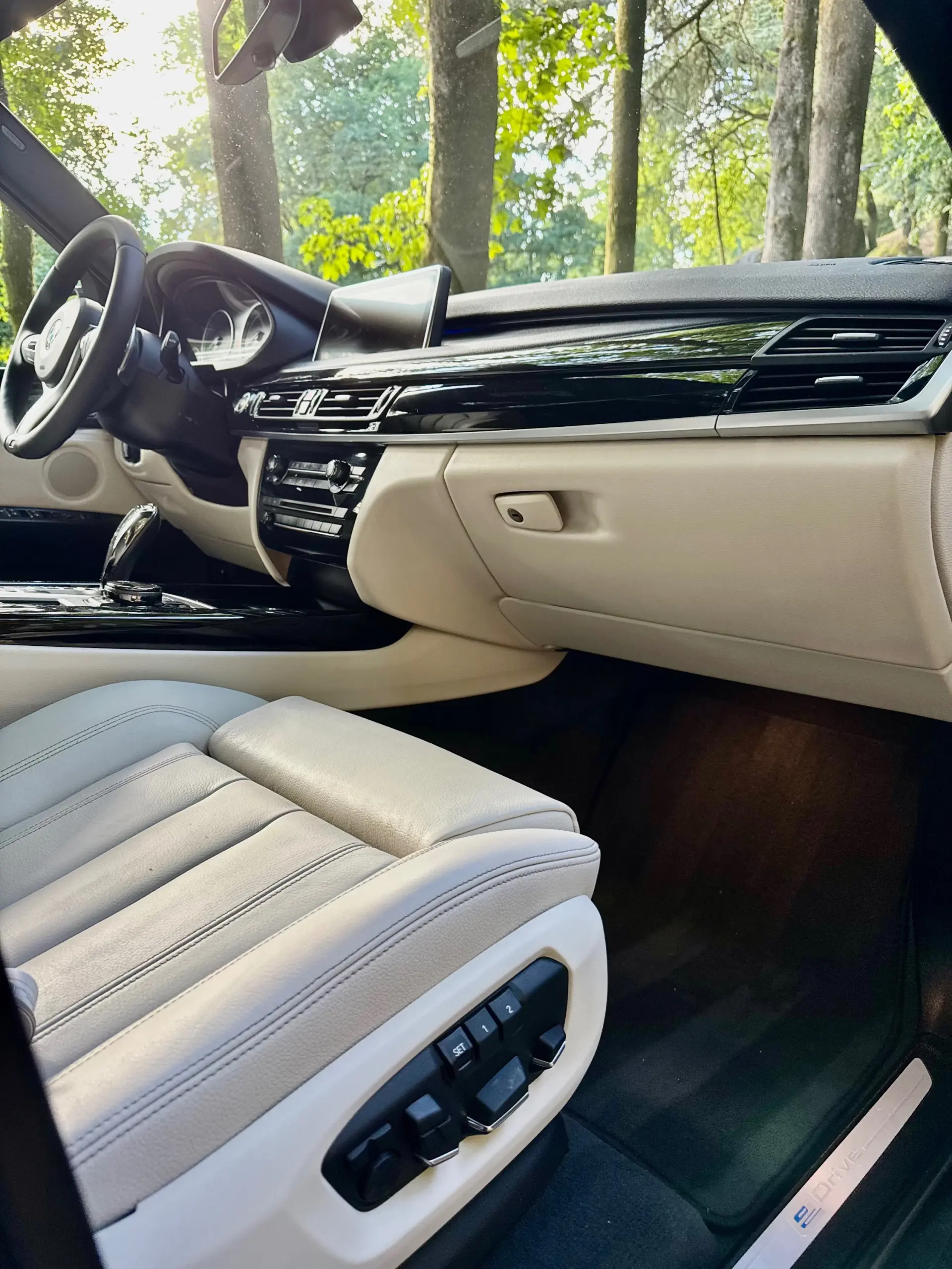 BMW X5 40e xDrive Pack M 31