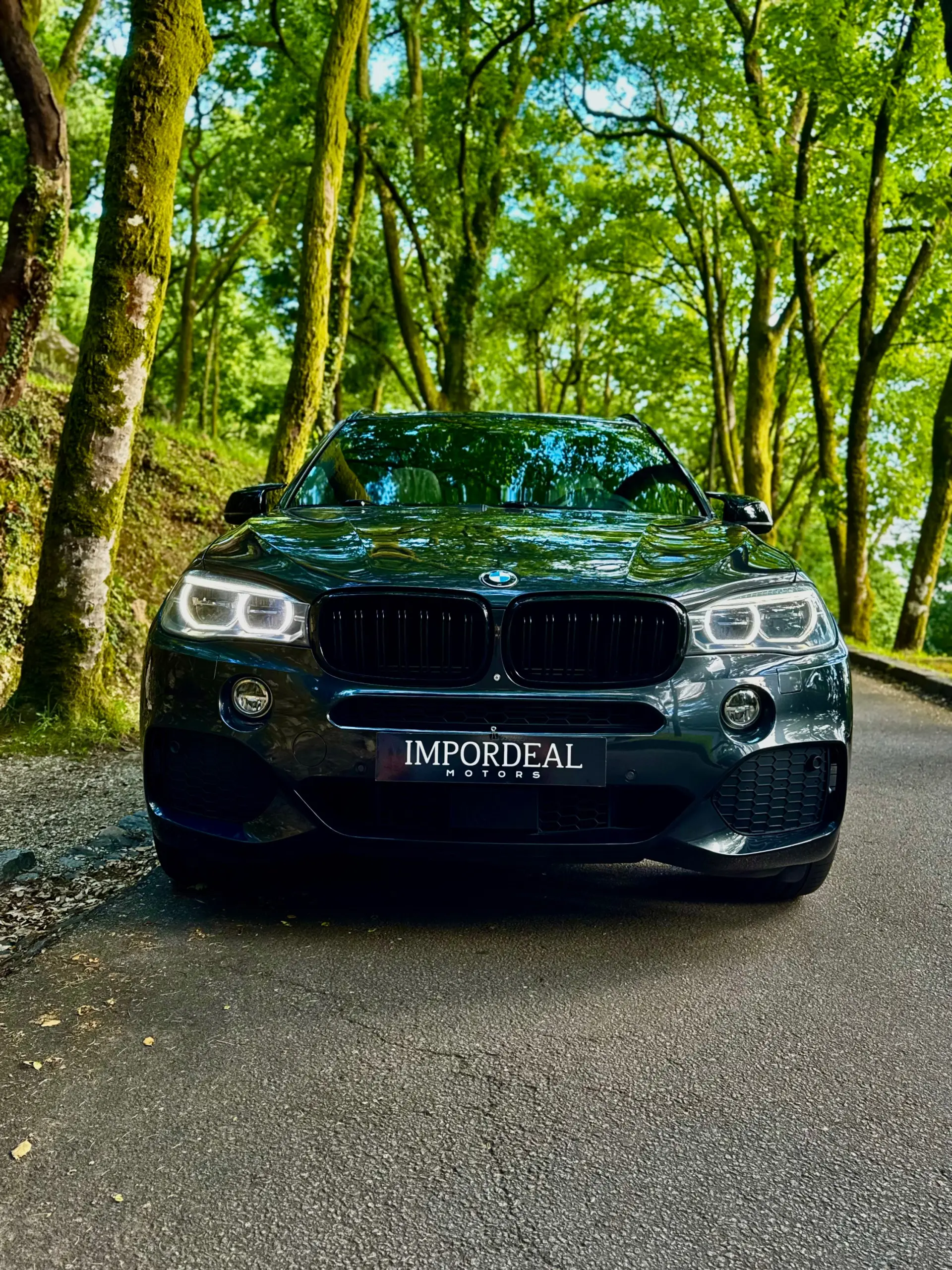BMW X5 40e xDrive Pack M 3