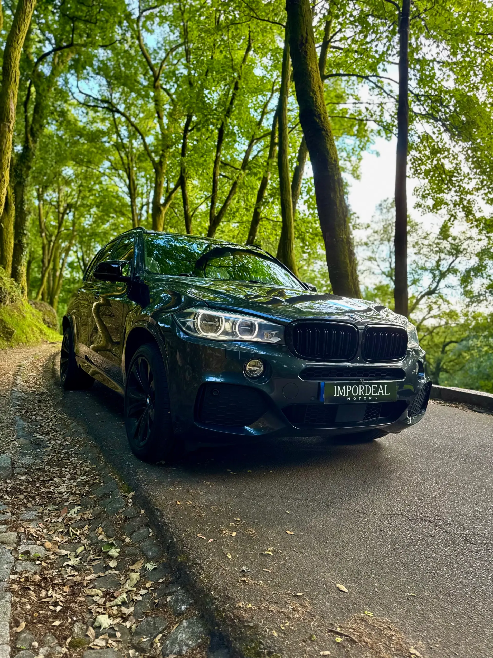 BMW X5 40e xDrive Pack M 2