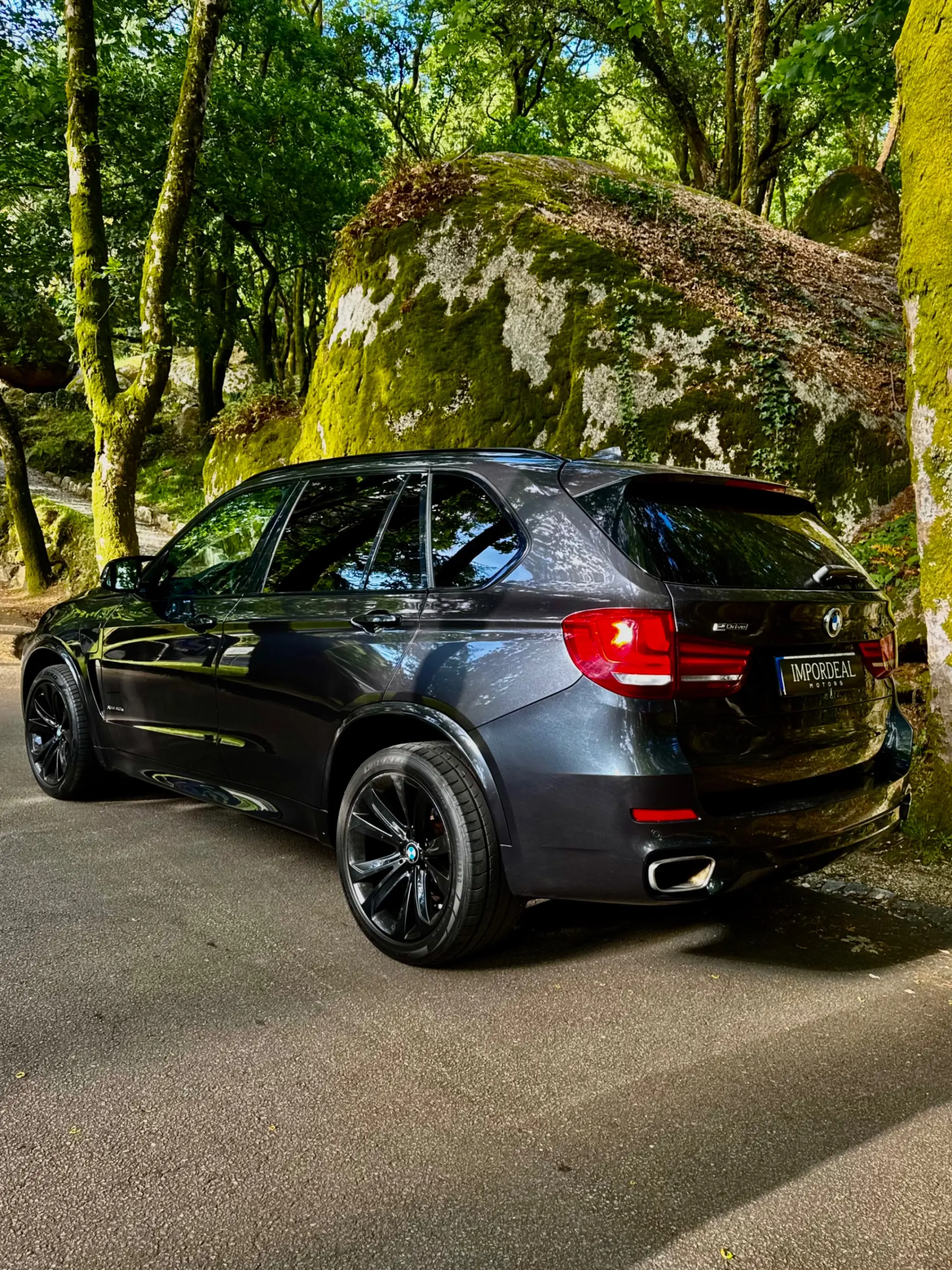 BMW X5 40e xDrive Pack M 12