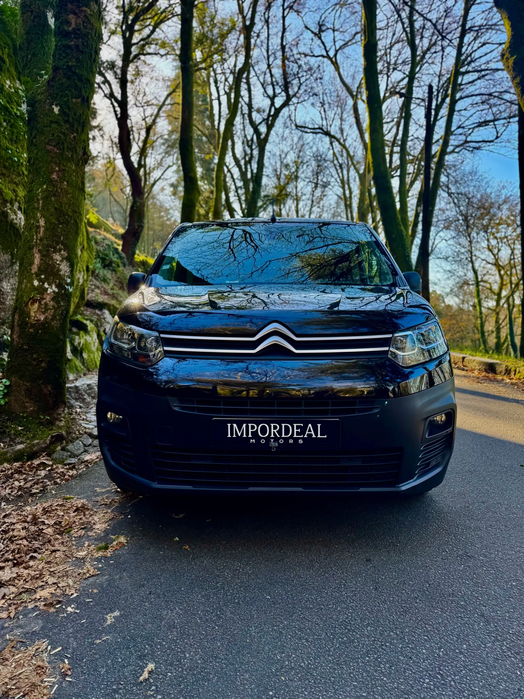 Citroën Berlingo 1.5 BlueHDi M Feel 6