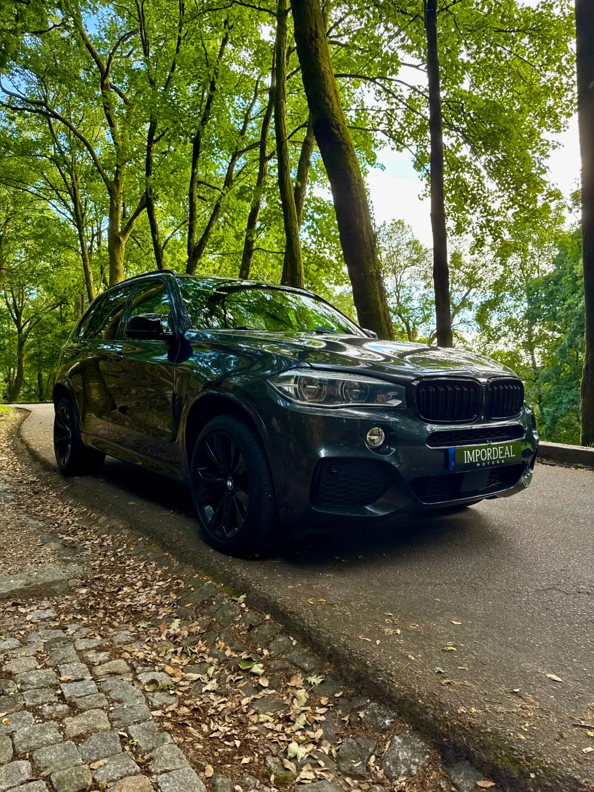 BMW X5 40e xDrive Pack M 19