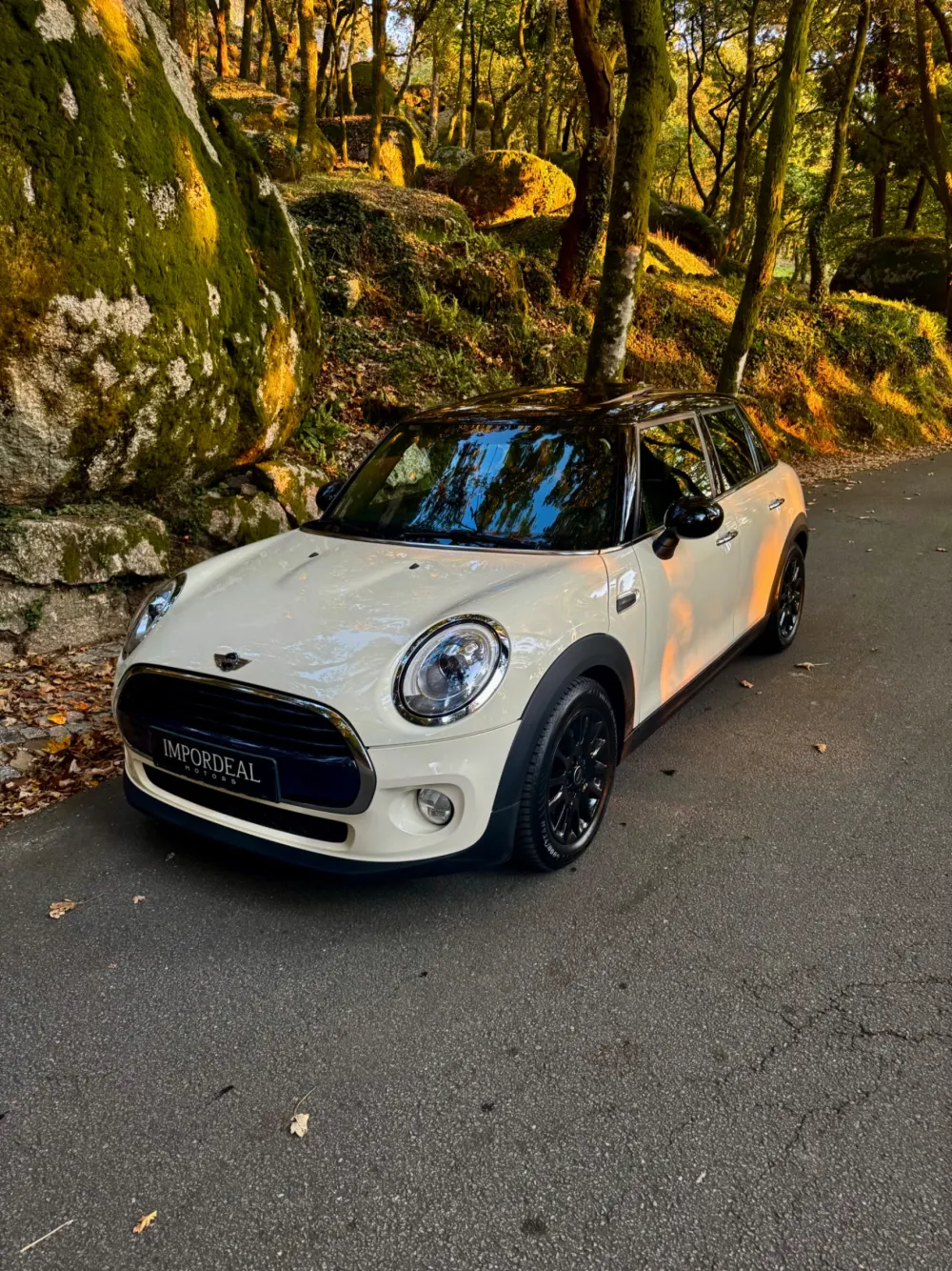 MINI Coupé Cooper Chilli 5