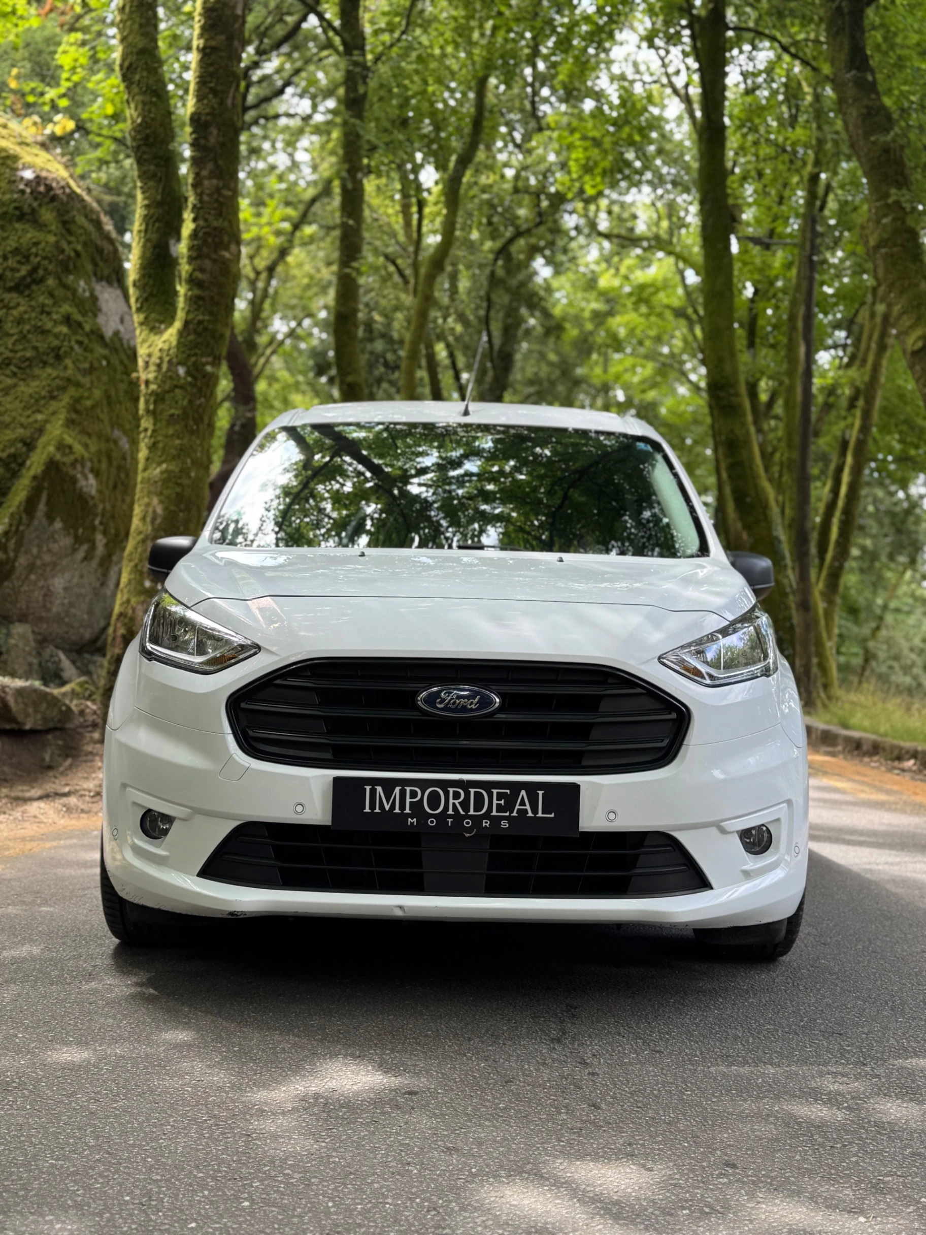 Ford Transit Connect 3