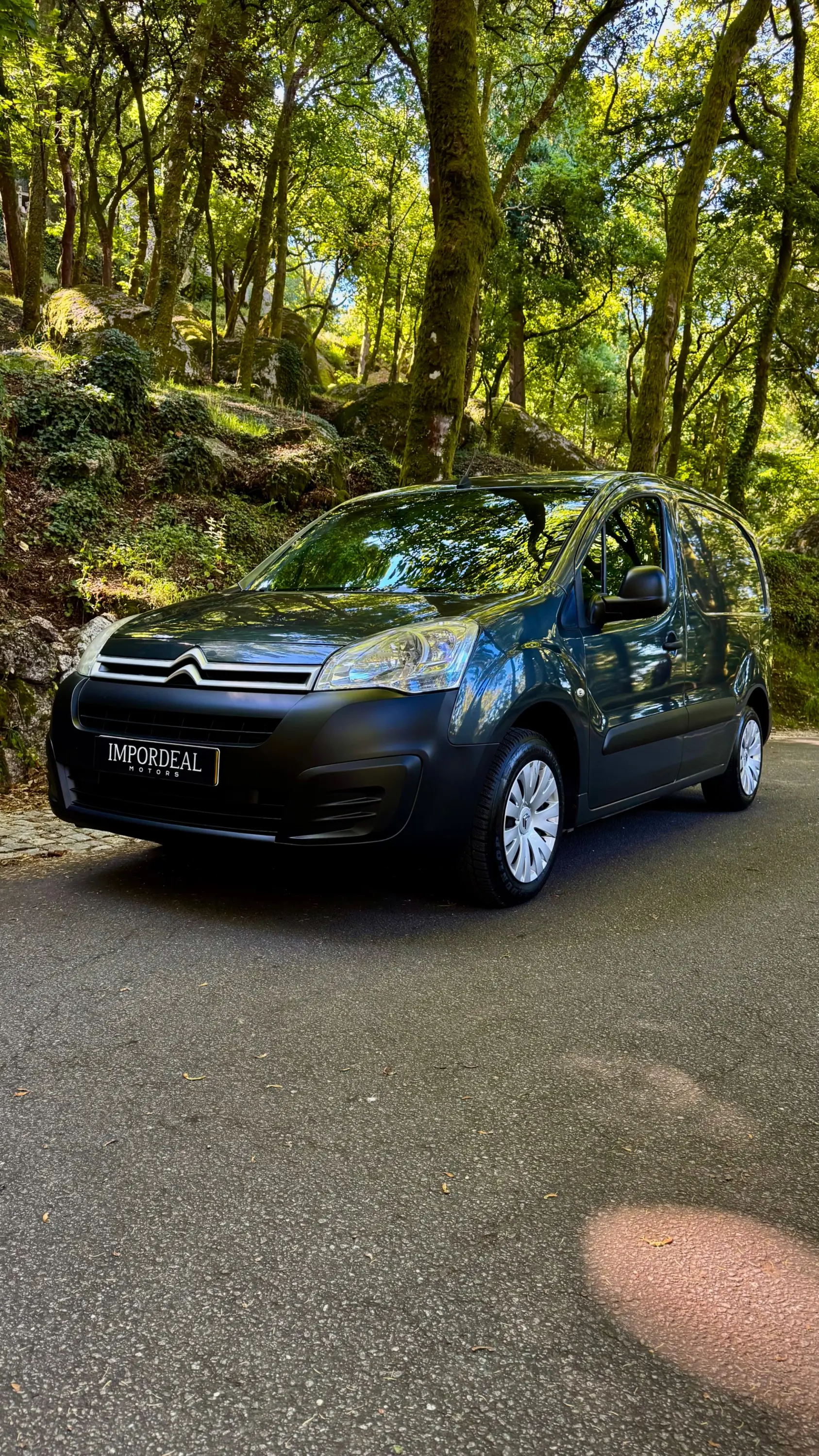 Citroen Berlingo 1.6 BlueHDi Feel 5