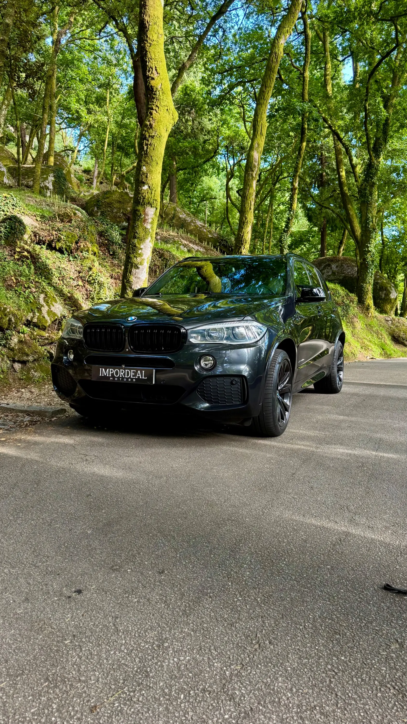 BMW X5 40e xDrive Pack M 5