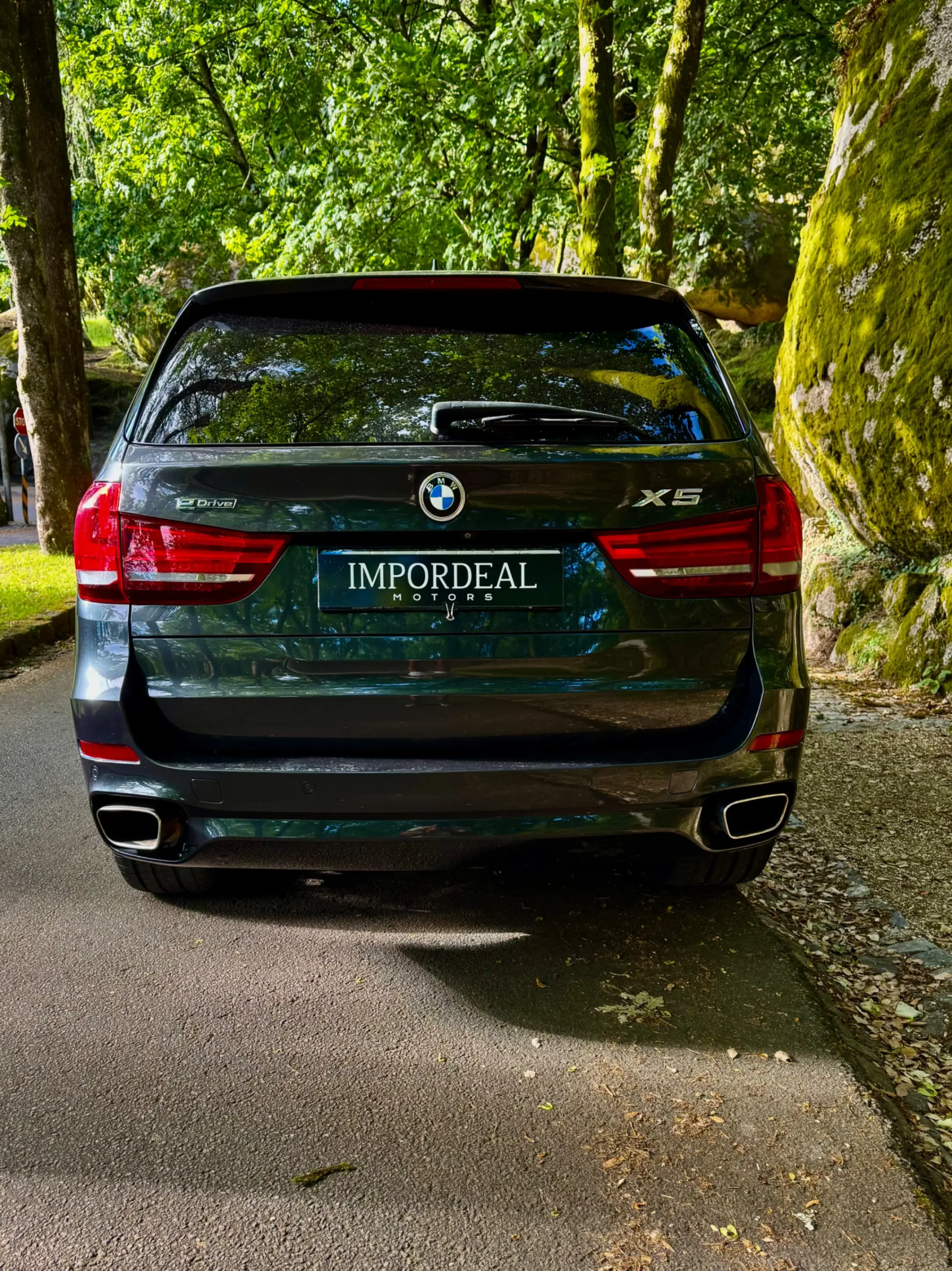 BMW X5 40e xDrive Pack M 11