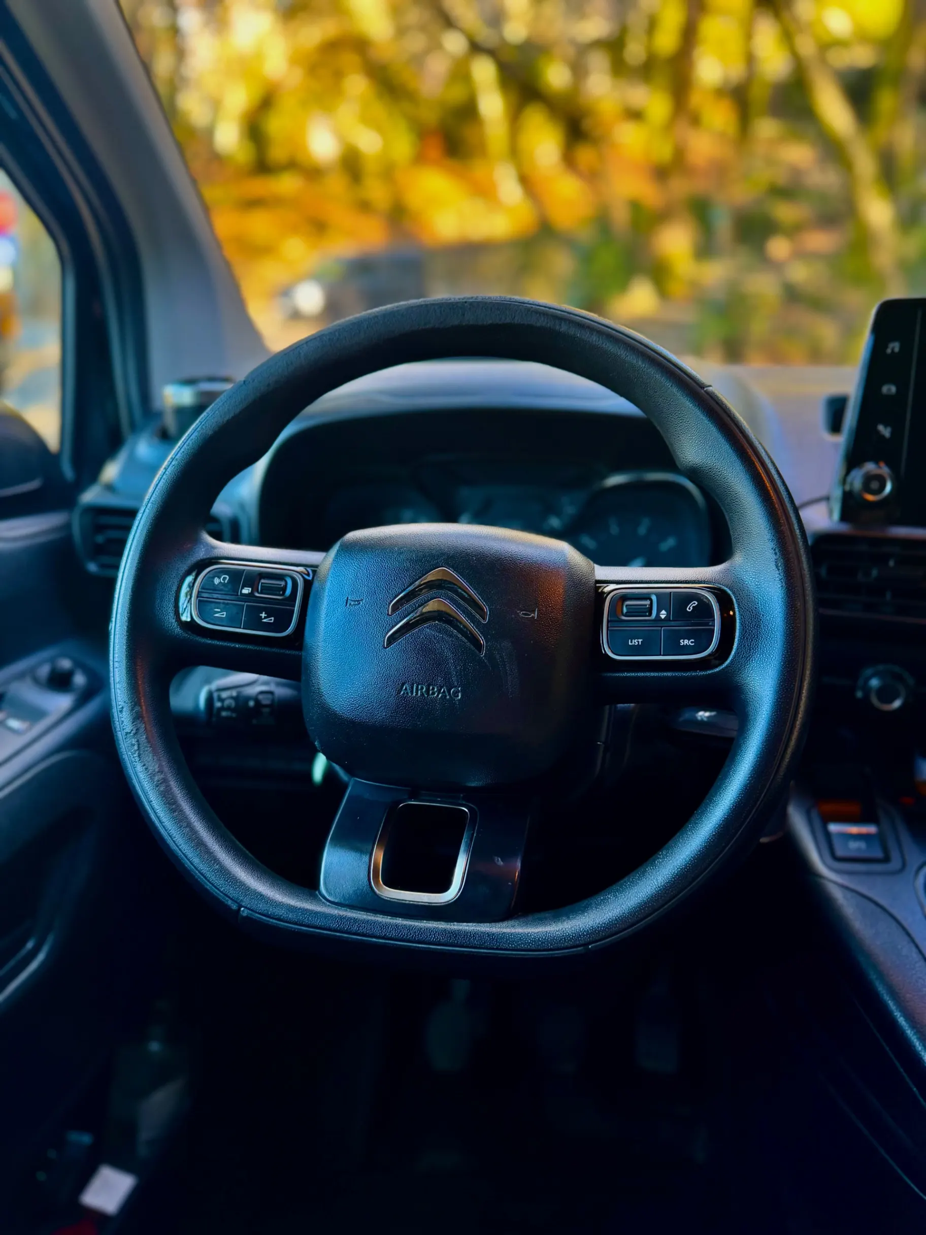 Citroën Berlingo 1.5 BlueHDi M Feel 10