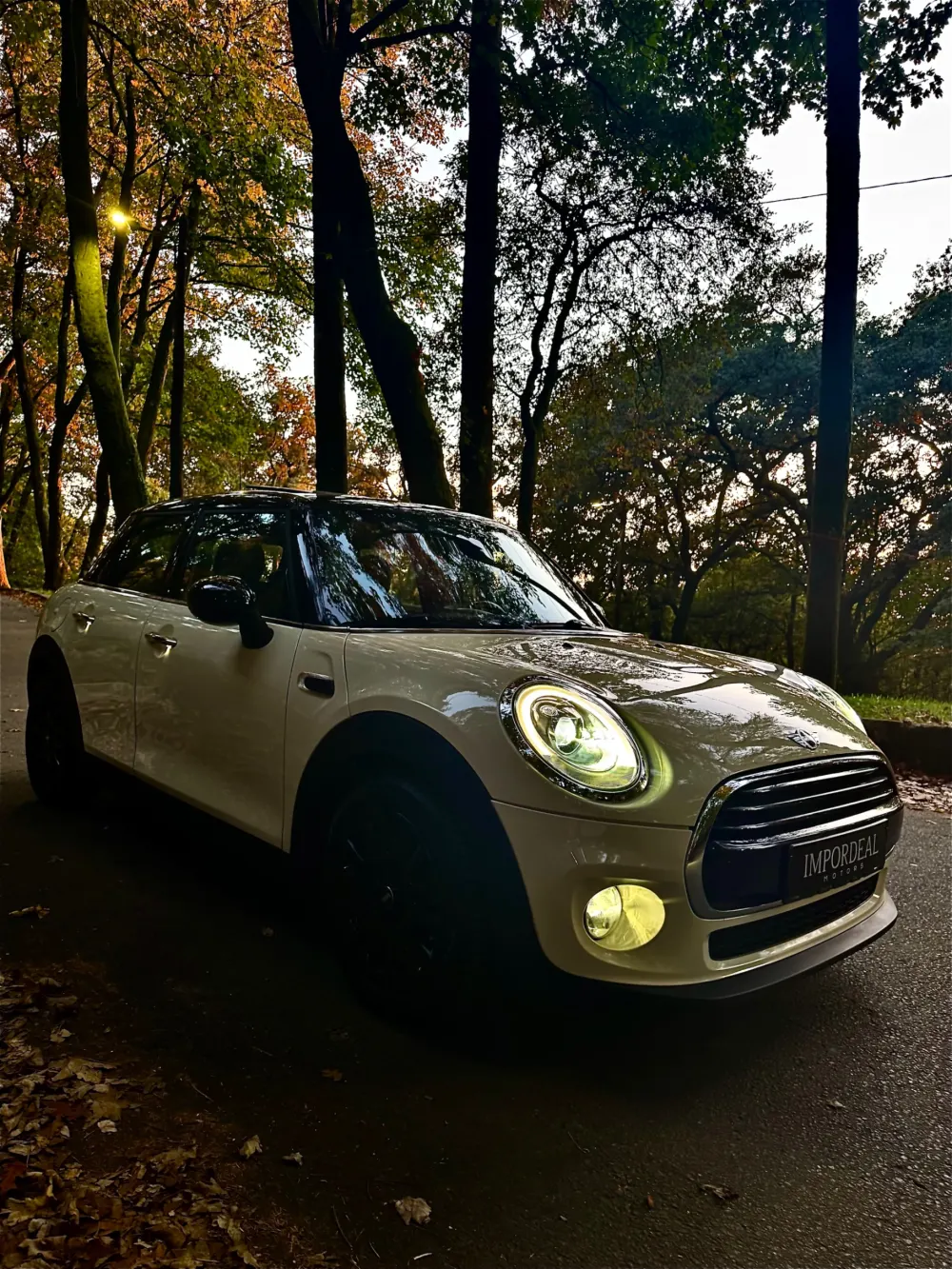 MINI Coupé Cooper Chilli 13