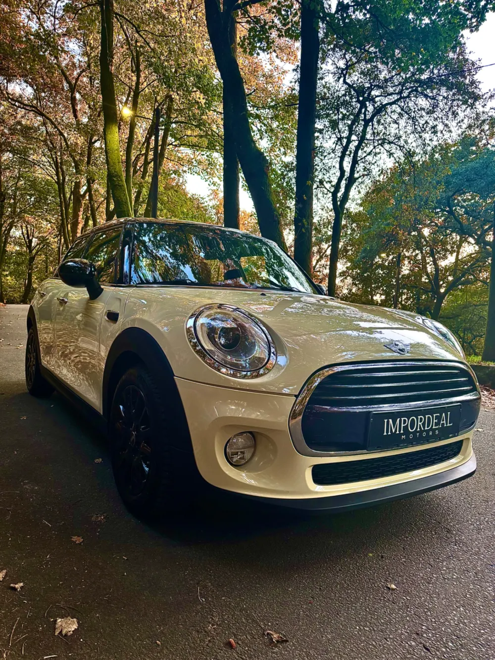 MINI Coupé Cooper Chilli 9