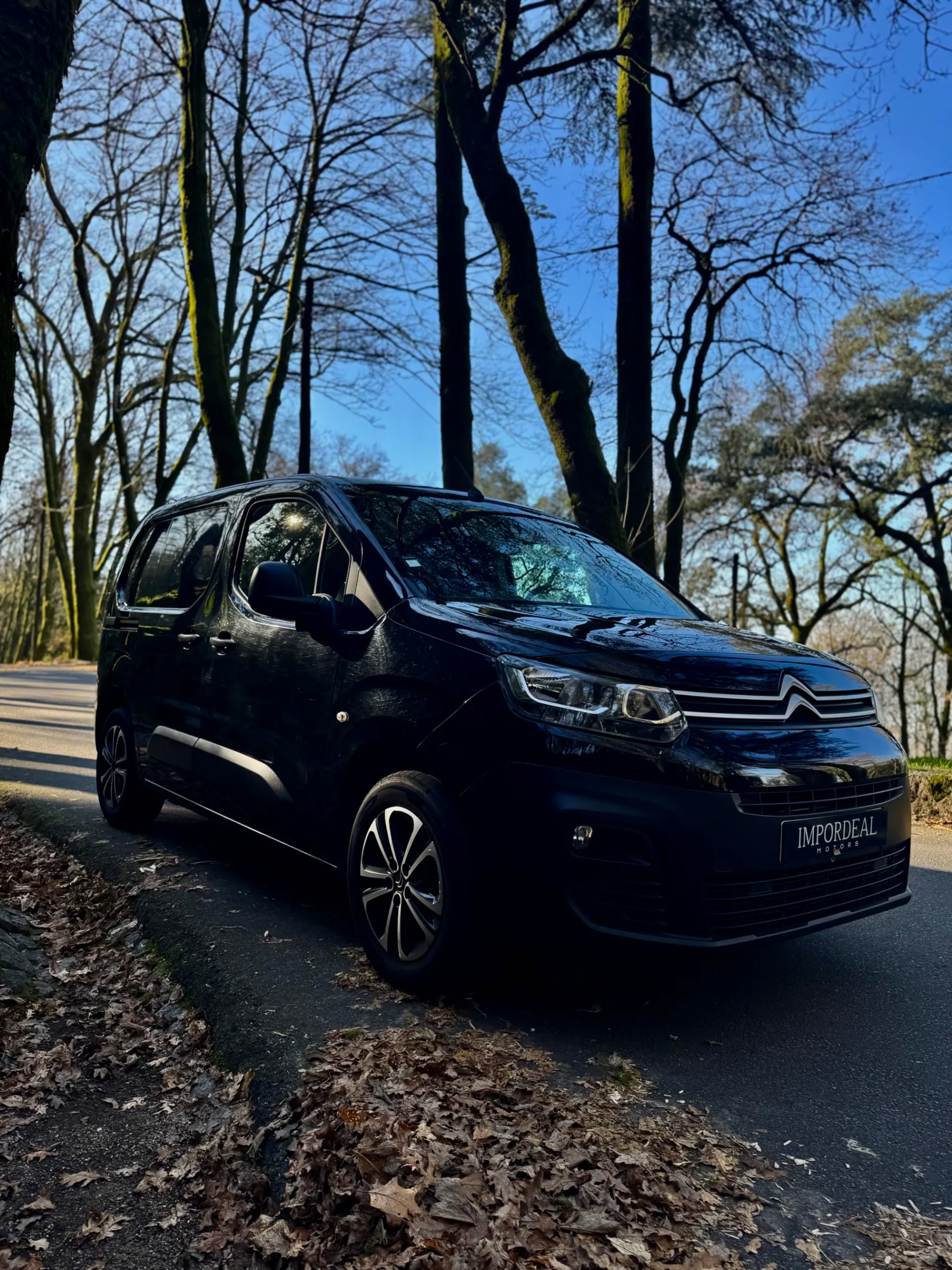Citroën Berlingo 1.5 BlueHDi M Feel 5