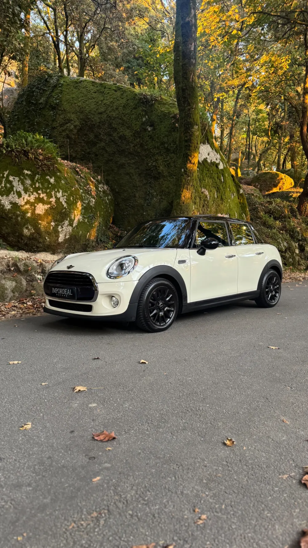 MINI Coupé Cooper Chilli 2
