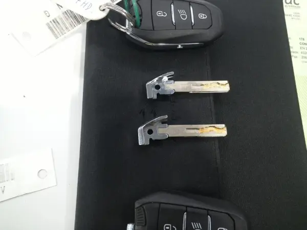 Citroën e-C4 SHINE 5