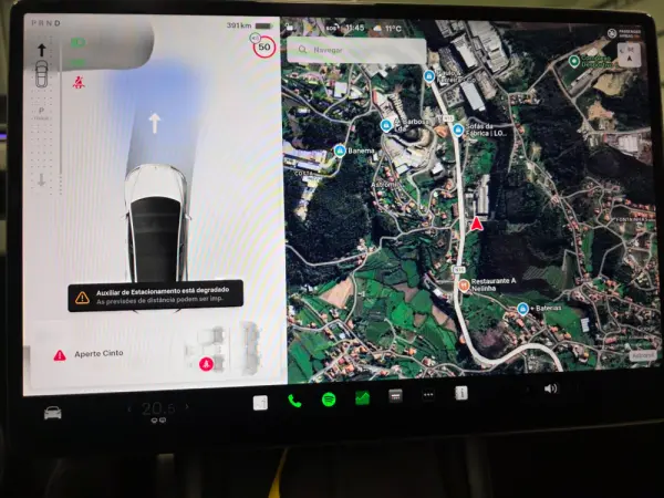 Tesla Model 3 Tração Traseira Premium 115