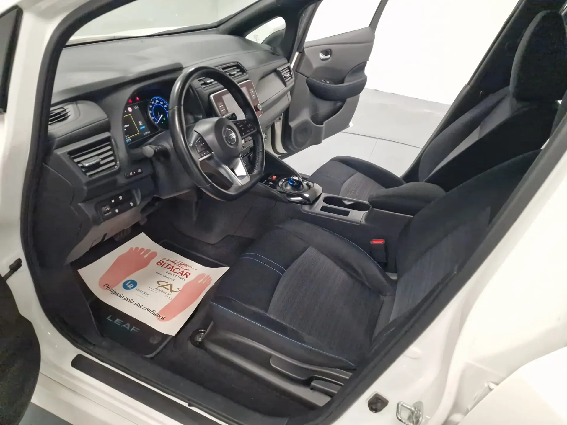 Nissan Leaf Acenta Access 12