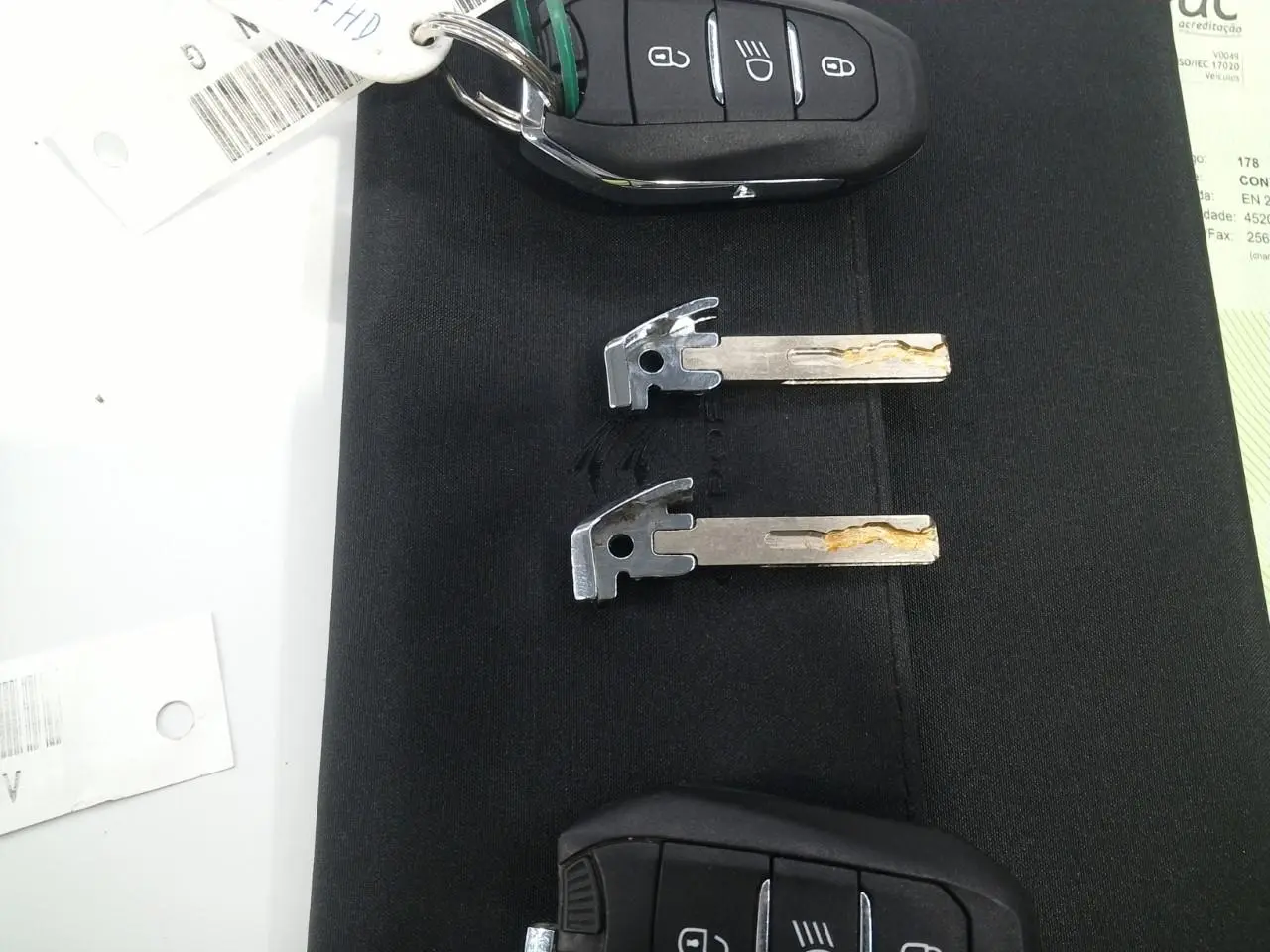 Citroën e-C4 SHINE 5